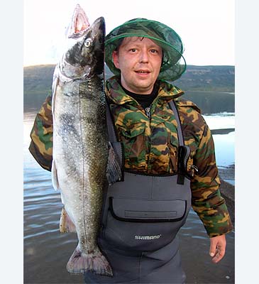 Record photograph for Salvelinus drjagini